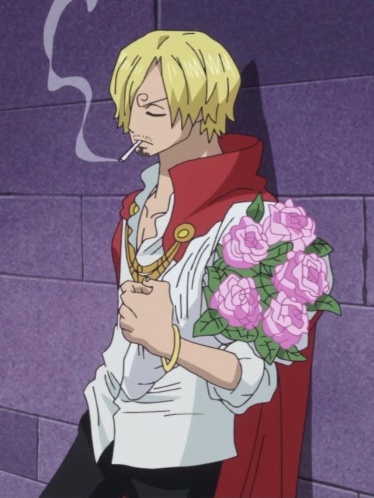 Vinsmoke Sanji — Image 6